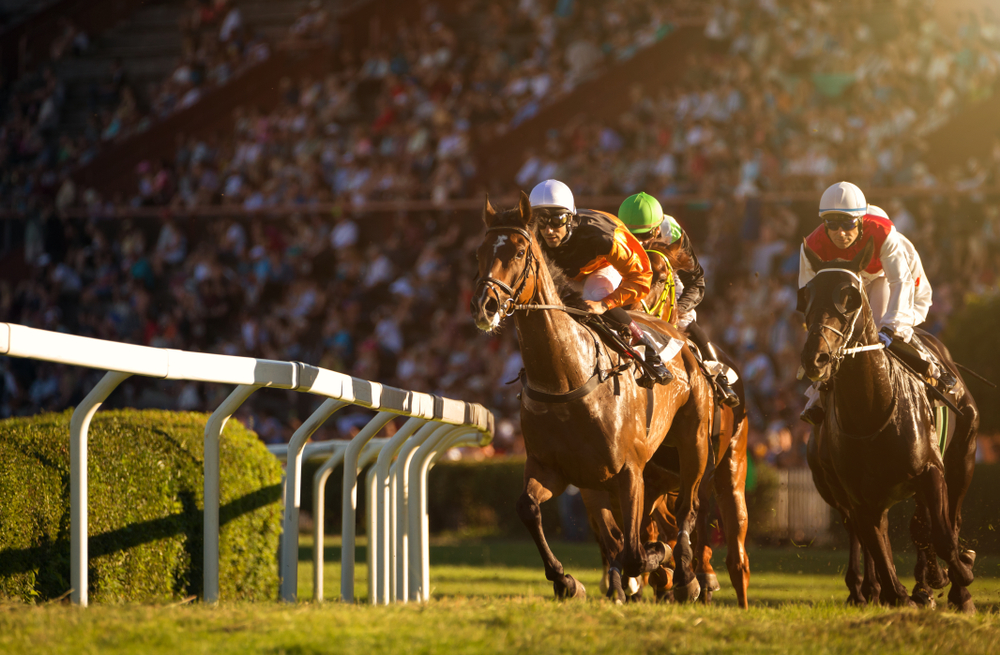 競馬デビュー！初心者が知っておくべき基本ルール